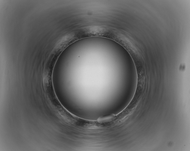 X0000097650597200802291452