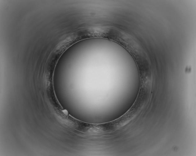 X0000097650599200802291452