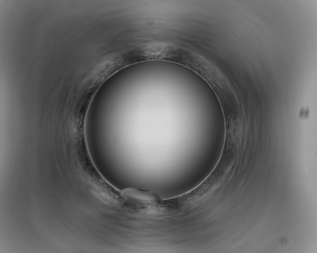 X0000097650601200802291452