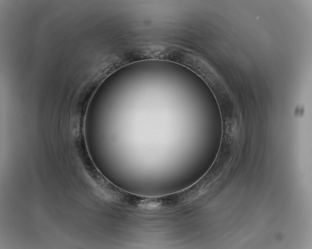 X0000097650602200802291452