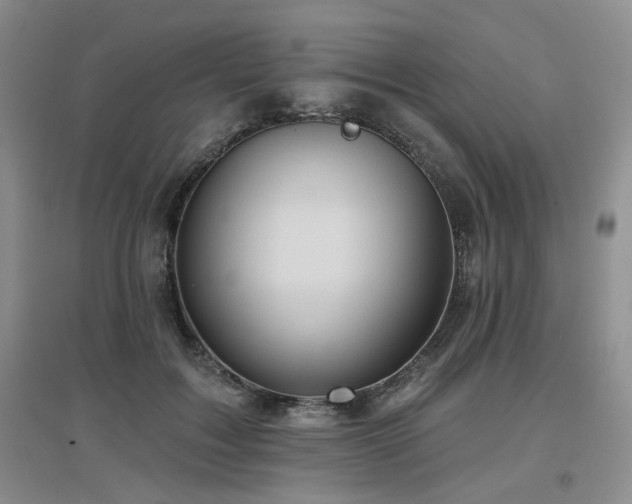 X0000097650603200802291452