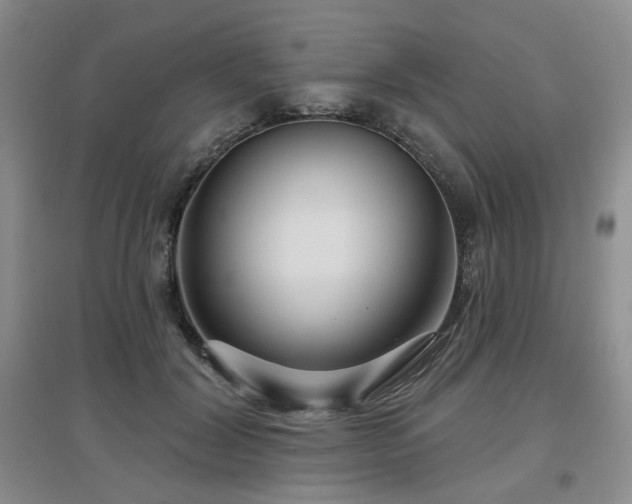 X0000097650604200802291452