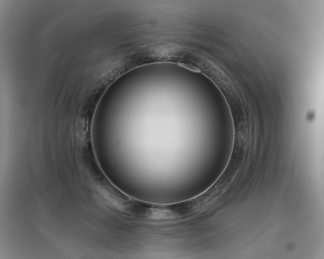 X0000097650605200802291452