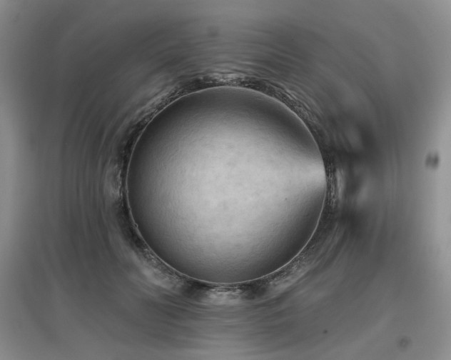 X0000097650606200802291452