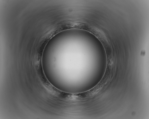 X0000097650607200802291452