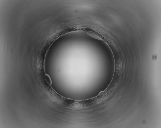 X0000097650608200802291452