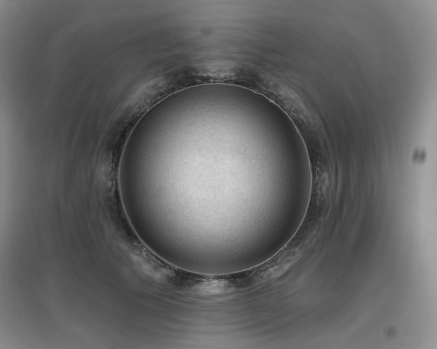 X0000097650609200802291452