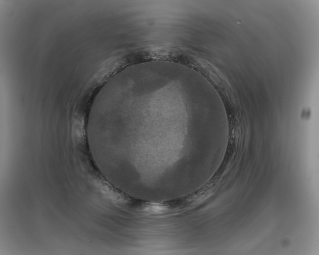 X0000097650610200802291452