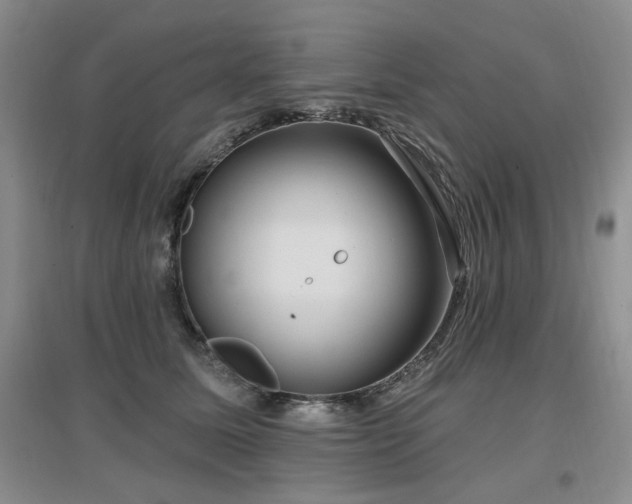 X0000097650611200802291452