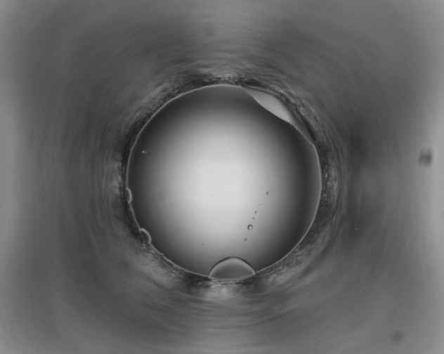 X0000097650612200802291451