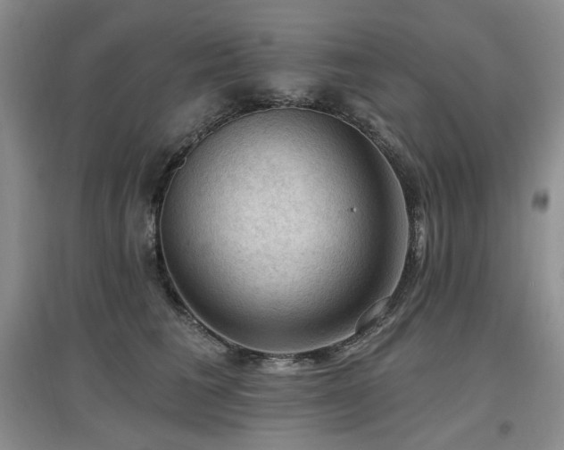 X0000097650613200802291451