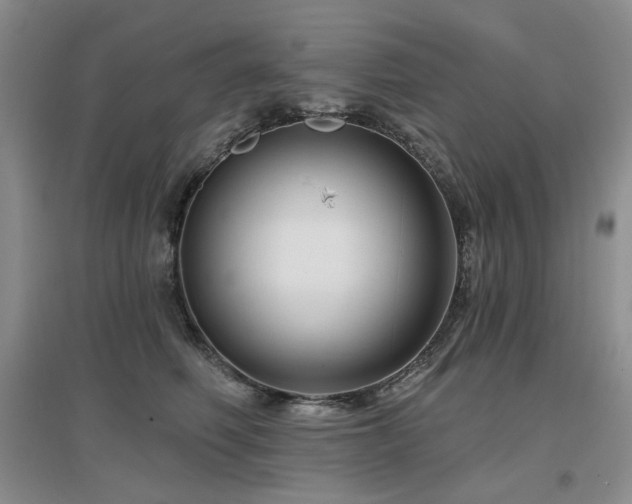 X0000097650614200802291451