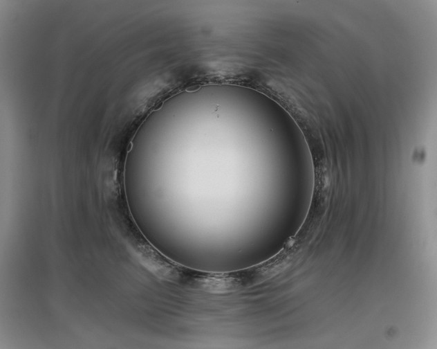 X0000097650615200802291451