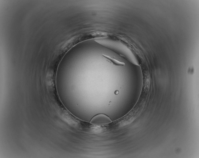 X0000097650616200802291451