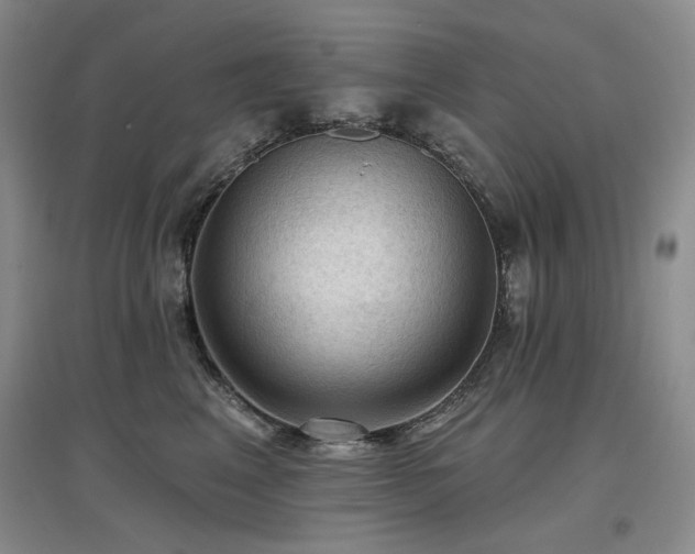 X0000097650617200802291451