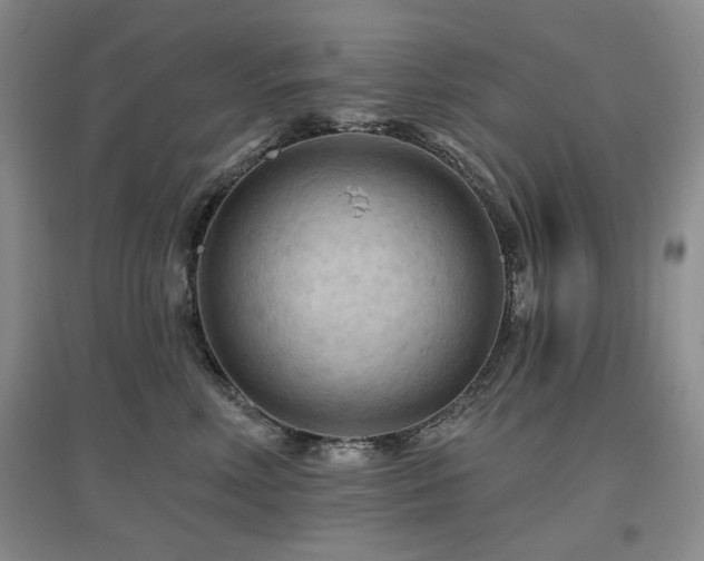 X0000097650618200802291451