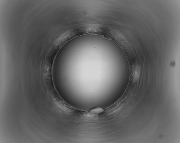 X0000097650619200802291451