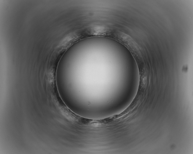 X0000097650620200802291451