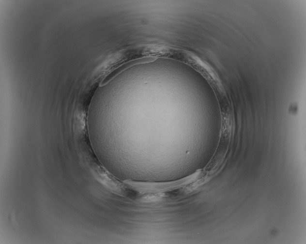 X0000097650621200802291451