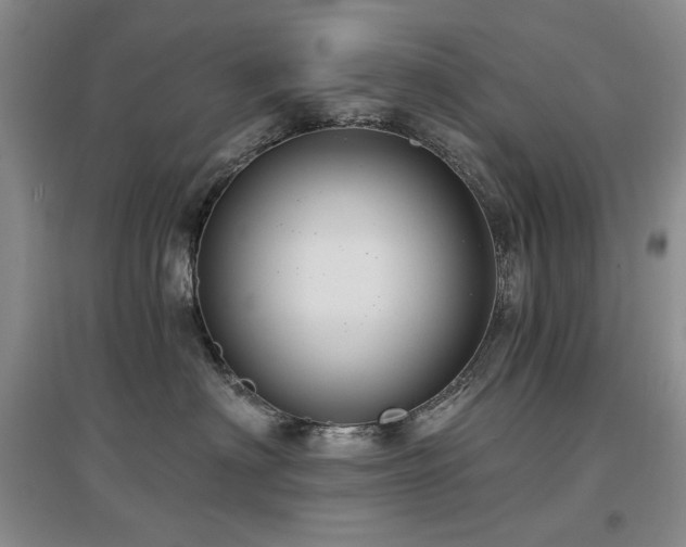 X0000097650622200802291451