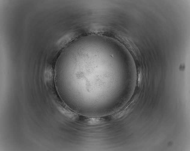 X0000097650623200802291451