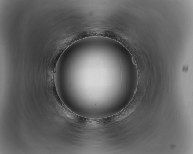 X0000097650624200802291451