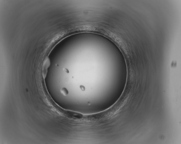 X0000097650625200802291451