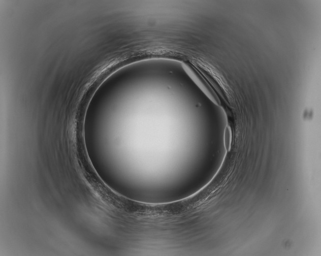 X0000097650626200802291451