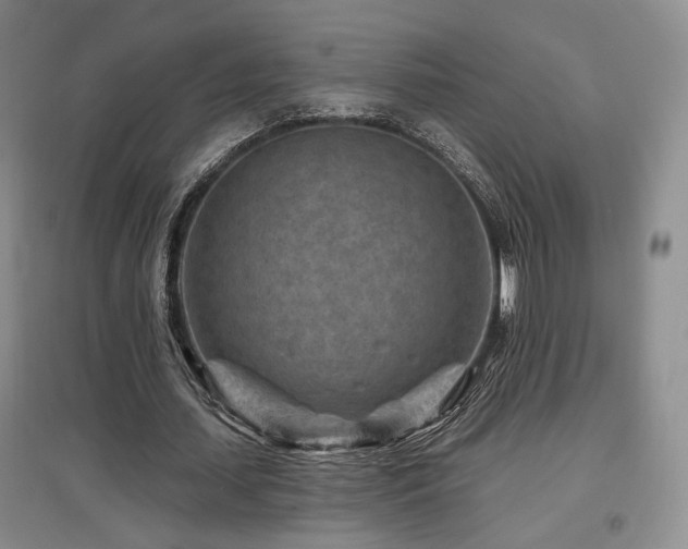 X0000097650627200802291451