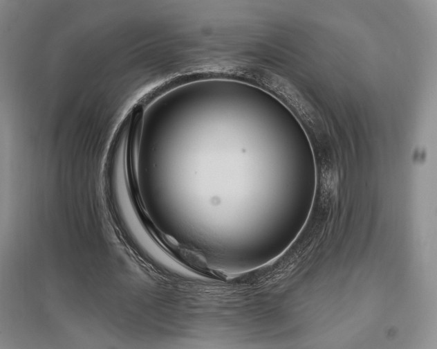 X0000097650628200802291451