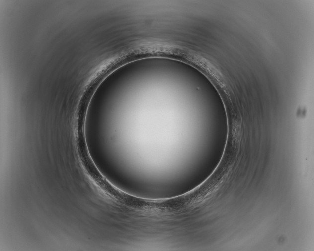 X0000097650629200802291451