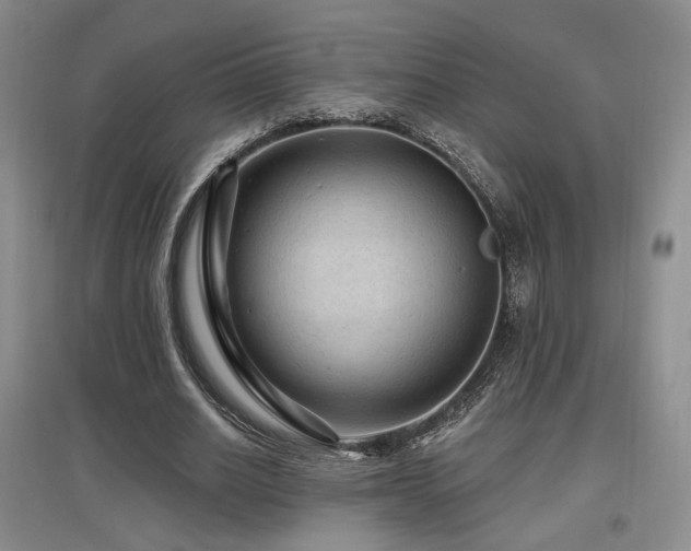 X0000097650630200802291451