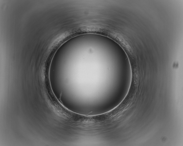 X0000097650631200802291451