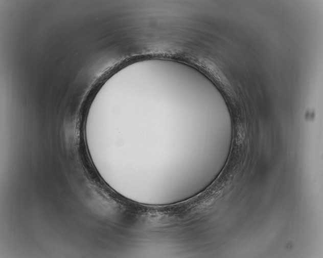 X0000097650632200802291451