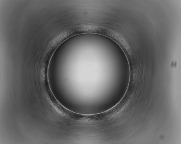 X0000097650633200802291451