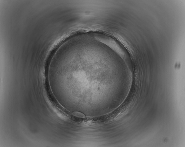 X0000097650634200802291451