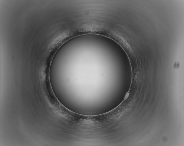 X0000097650635200802291451