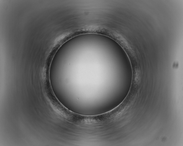 X0000097650636200802291451