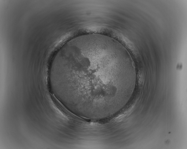 X0000097650637200802291451