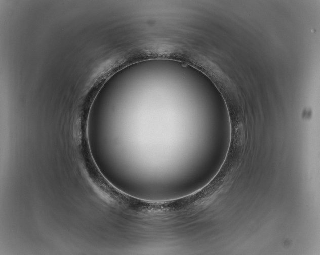 X0000097650638200802291451