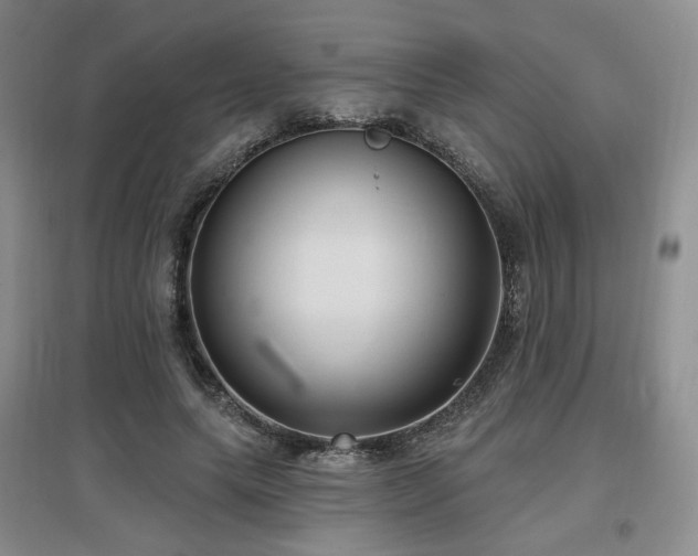 X0000097650639200802291451