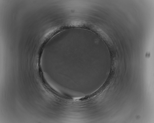 X0000097650640200802291451