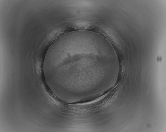 X0000097650641200802291451