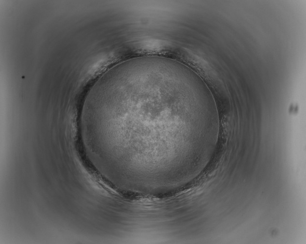 X0000097650642200802291451