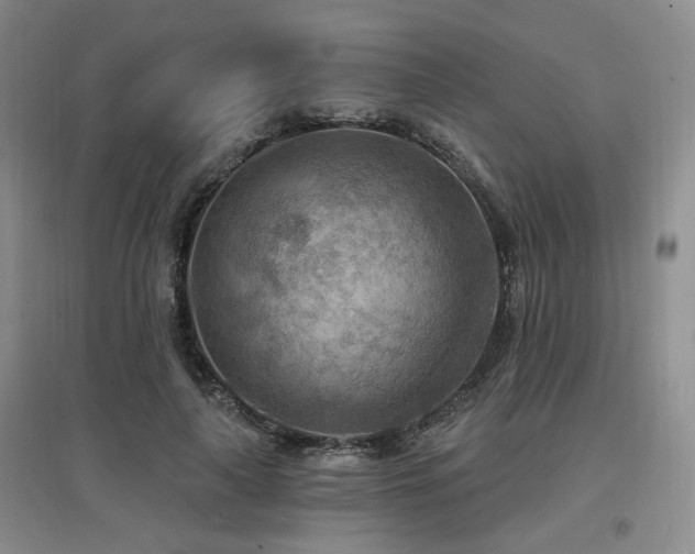 X0000097650643200802291451