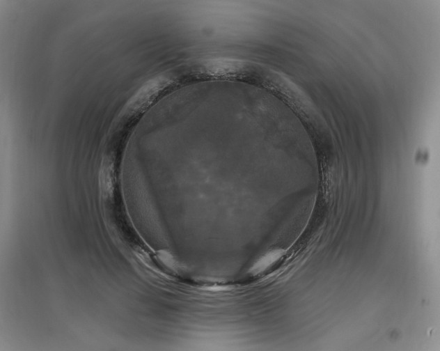 X0000097650644200802291451