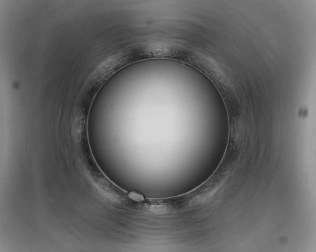 X0000097650645200802291451