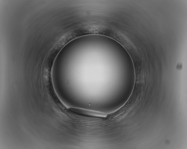 X0000097650646200802291451