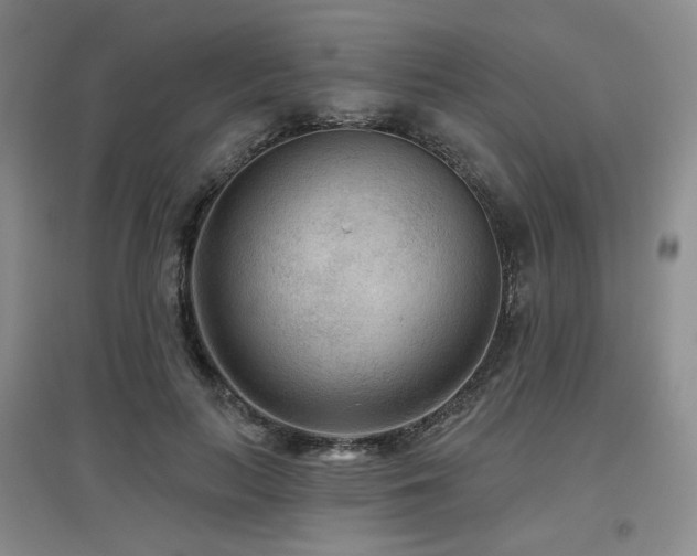 X0000097650647200802291451