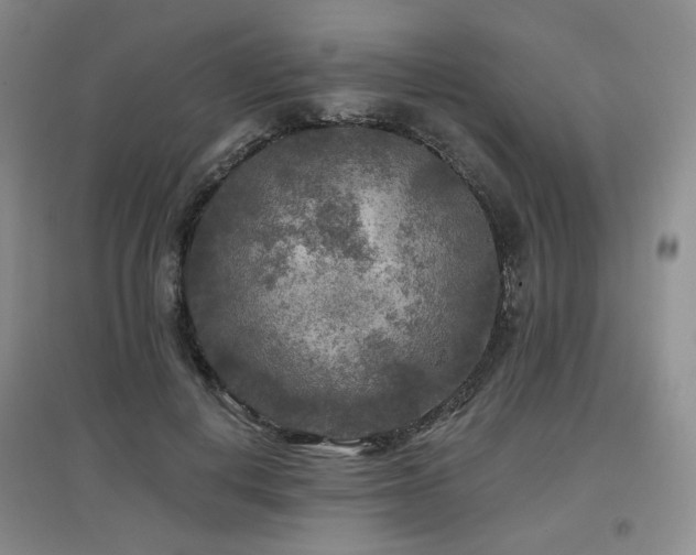 X0000097650648200802291451